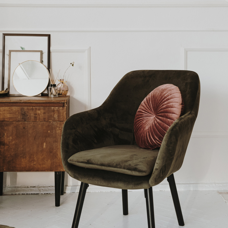 Velvet Chair and Throw Pillow